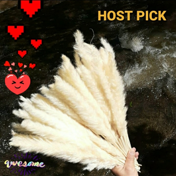 Pampas Grass Luxury Box boho Wedding Housewarming graduation Decor mom's gift! - Picture 3 of 7